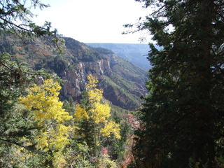 fall colors1 320x240 fall colors1 320x240