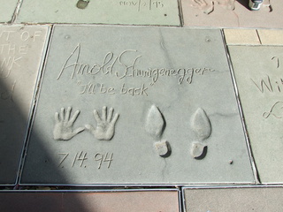 arnold 320x240 arnold 320x240