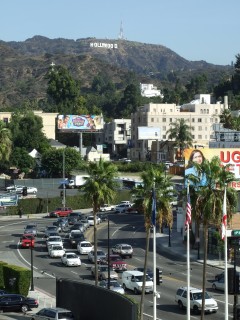 hollywood sign 240x320 hollywood sign 240x320
