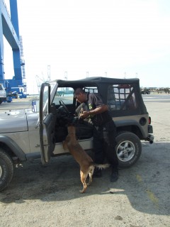 sniffer dog 240x320 sniffer dog 240x320