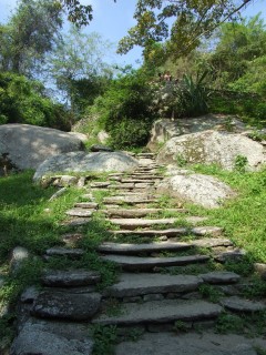 tayrona pueblito ruins 1 240x320 tayrona pueblito ruins 1 240x320