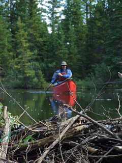 brett solo canoe 240x320 brett solo canoe 240x320