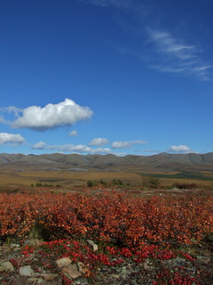 dempster colors 240x320 dempster colors 240x320