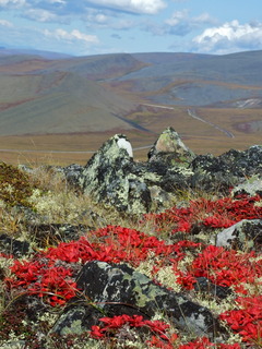 distant dempster highway 240x320 distant dempster highway 240x320